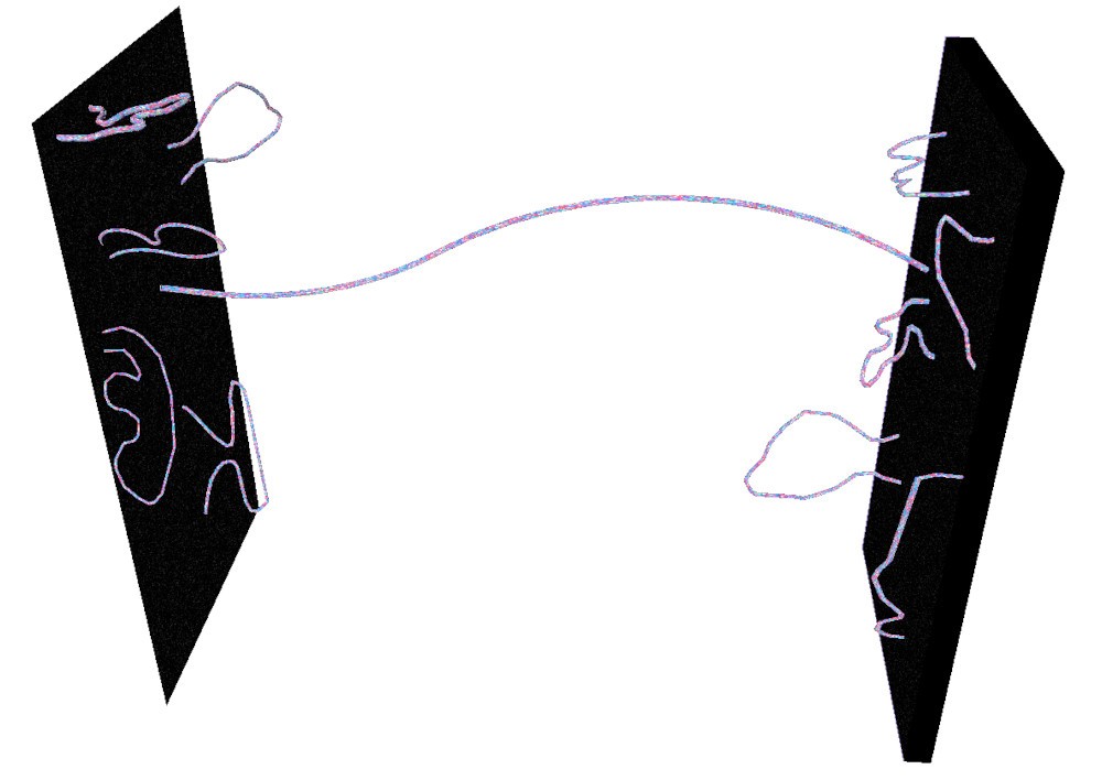 String Theory's branes
