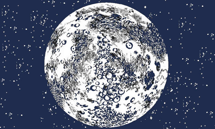 Luna tezuka evidenza