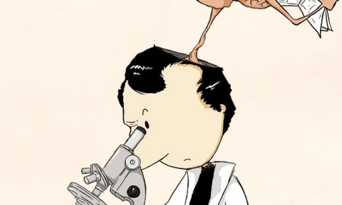 Duckbill evidenza