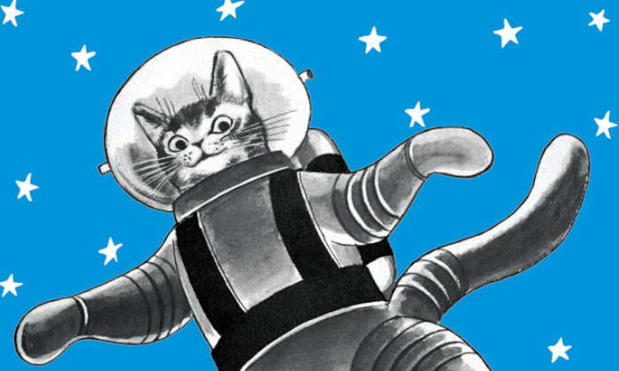 Spacecat evidenza
