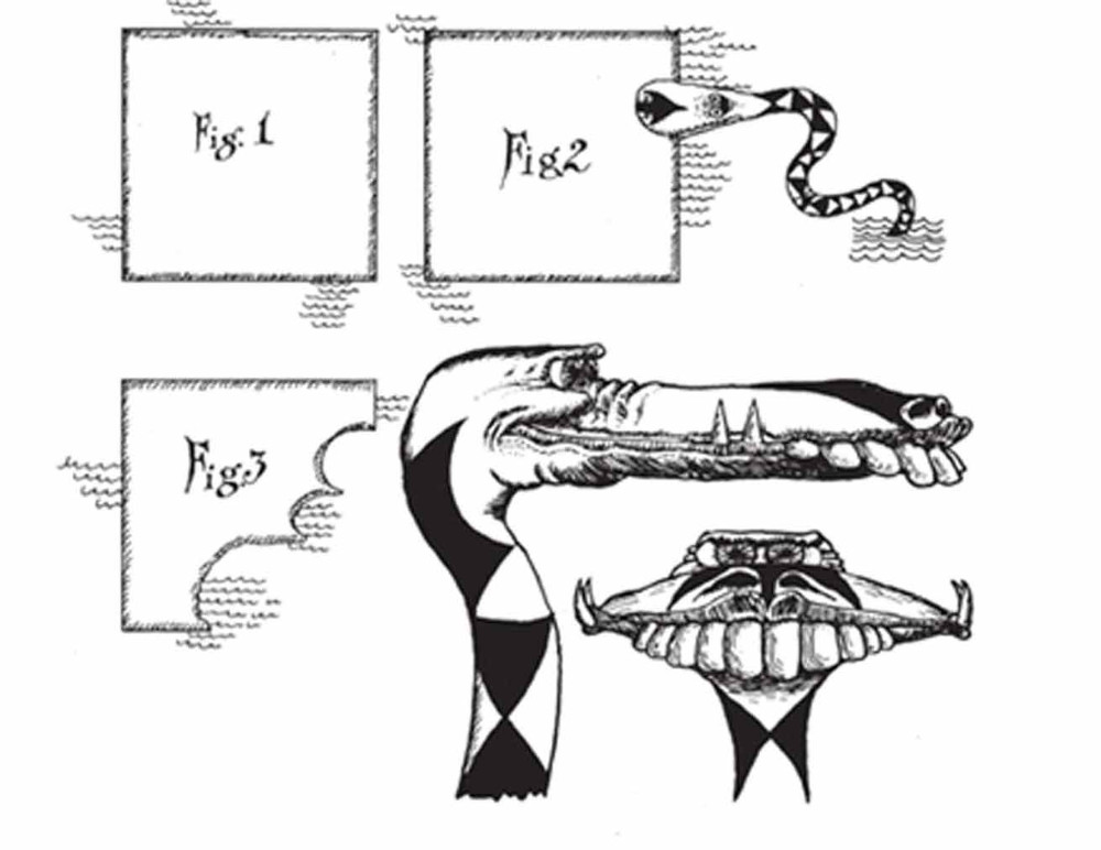 Stranalandia serpente rosicchiamondo