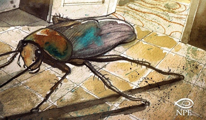 Kafka La metamorfosi IMG EVIDENZA