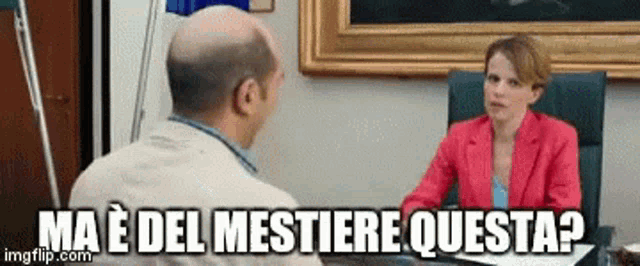 Checco zalone mestiere