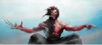Wolverine