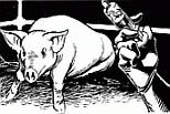 un disegno di Catacchio per il fumetto