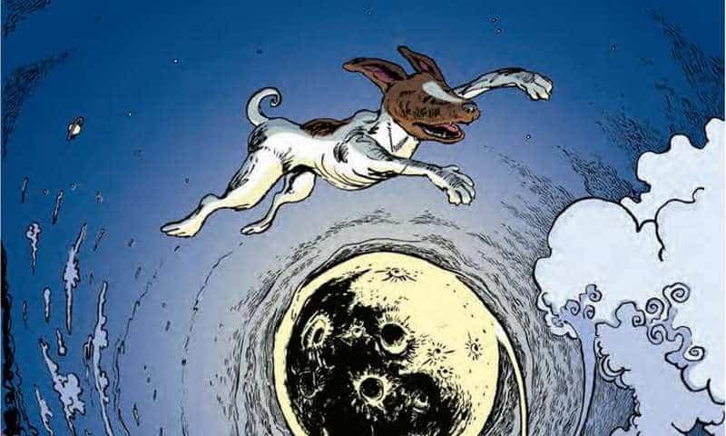 Laika sputnik2 evidenza