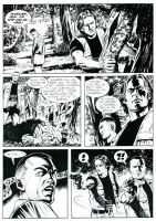 Immagine1