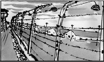 stalag81