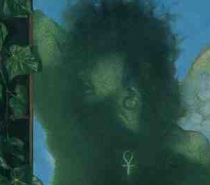 mckean02particolare