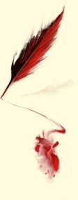 ECNON-COPERTINA-c