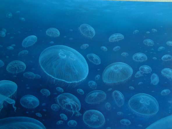 1 Bloom di meduse olio su car