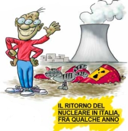 11-REFERENDUM