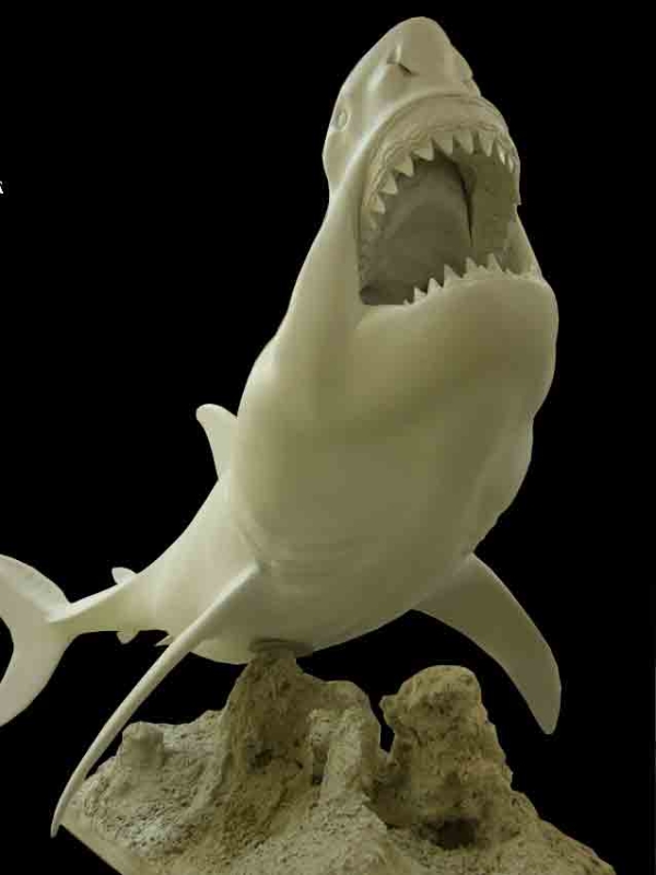 Megalodon modello finito ve