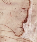 Fueye akab thumb