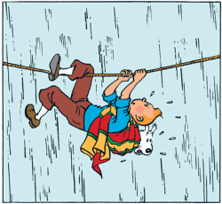 Tintin