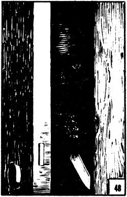 Eternauta-particolare1-vers.precedente