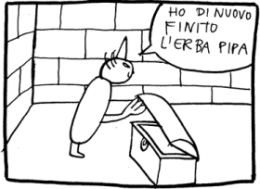 gatto-m-1
