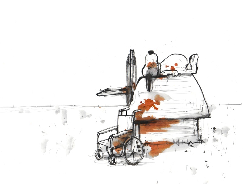 Snoopy2 web