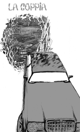 Pag81 copia