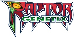 raptor