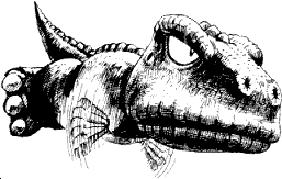 Gon-a