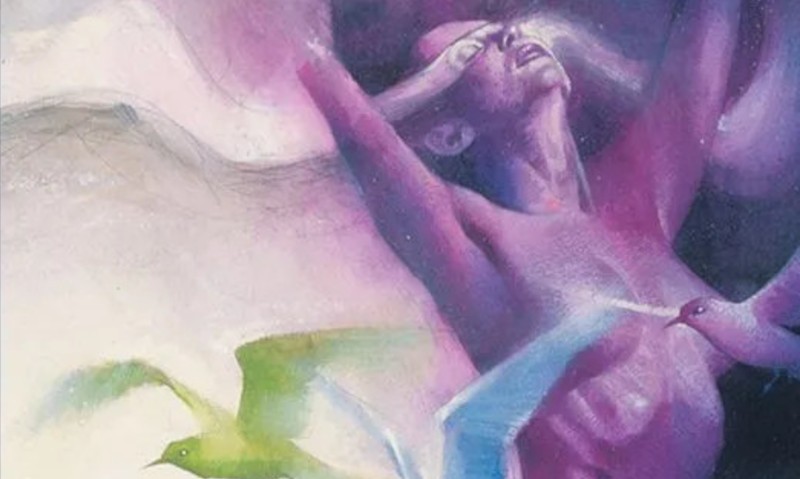 Black Orchid PANINI 2022 by Neil Gaiman, Dave McKean and Todd Klein IMG EVIDENZA