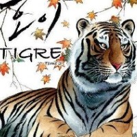 Tigre di Ahn Soo Gil (5)