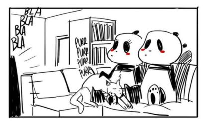 a_panda_piace____la_felinit___7930