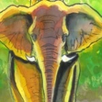 Incontro con Nazareno Giusti a Pescia (PT) presso la fumetteria L'Elefante