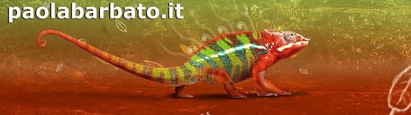 headerblog4