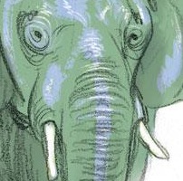Sabato 19 Gennaio Federico Bertolucci ospite alla Fumetteria L'Elefante di Pescia