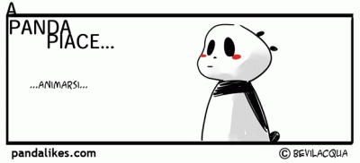 animarsi