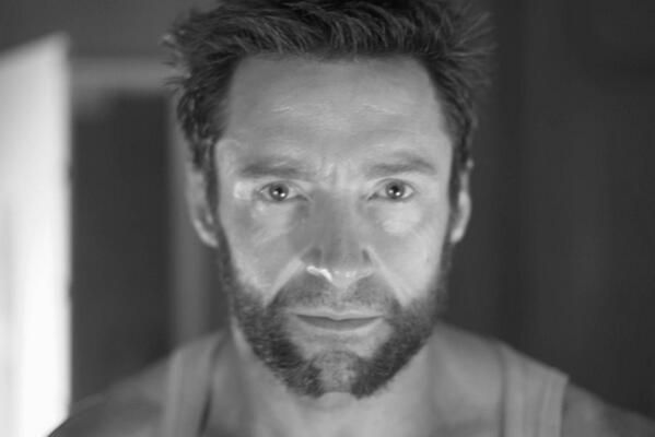 Wolverine1