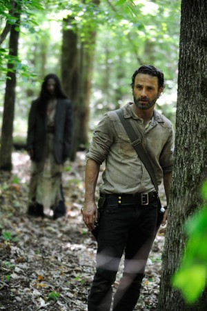 TheWalkingDeadSeason4