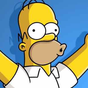 Homer simpson