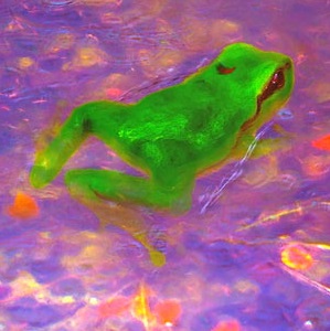 Img2big