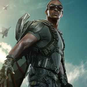 Falconposter