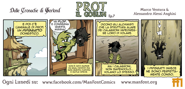 testata grafica web PROT