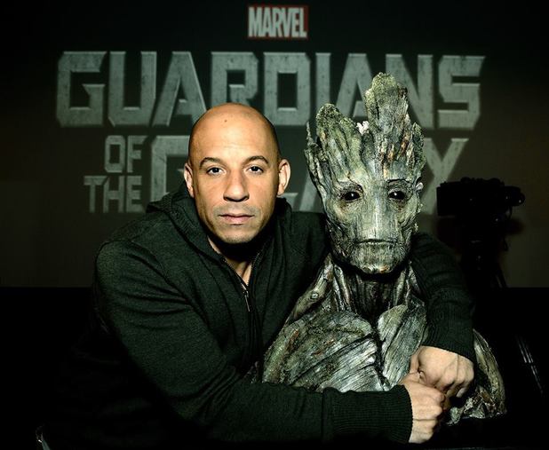 vindieselgroot