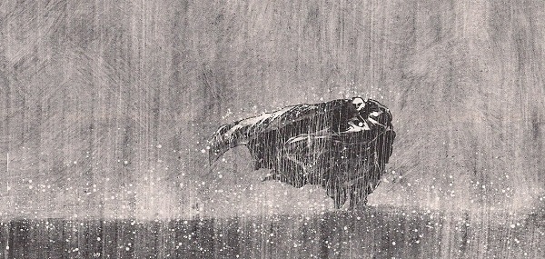 Larcenet-blast-pluie7