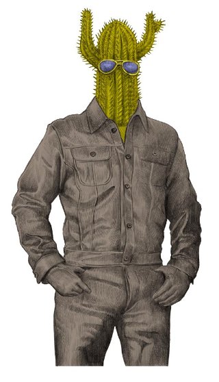 Marra_cactus