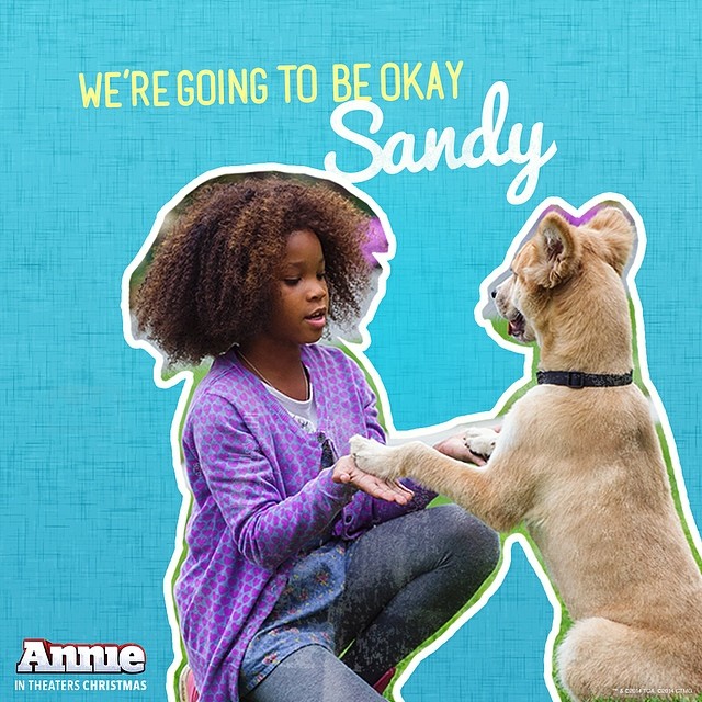 Anniesocial2
