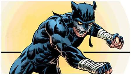 Wildcat