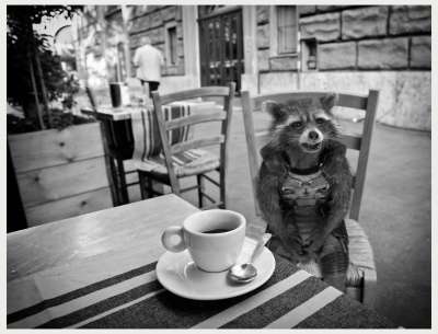 rocketcaffè