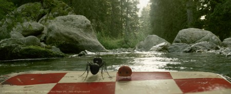 Minus FF Stills
