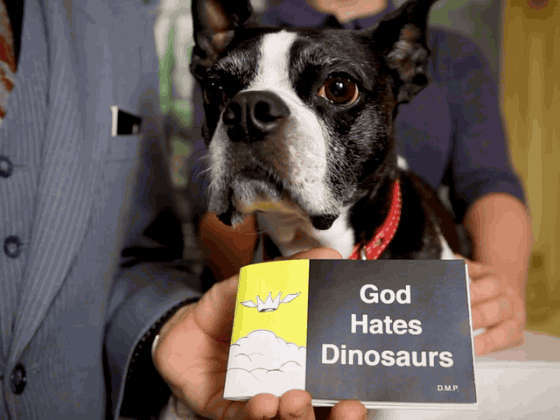 pugg dino small