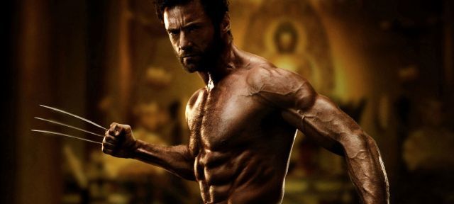 Wolverine header