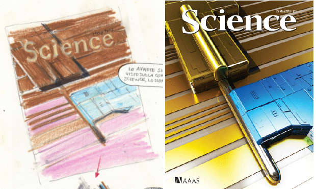 A destra: copertina di Science del 25 maggio 2012; a sinistra stessa copertina disegnata da Silvia Rocchi