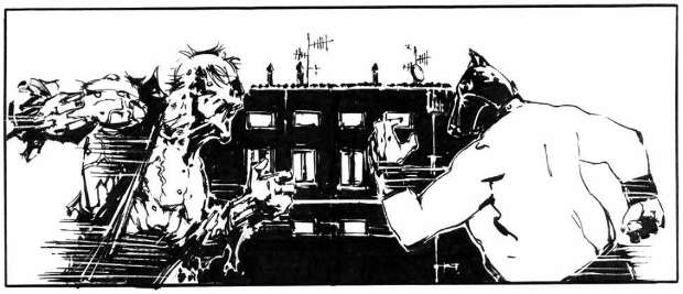 oneshock02-cane_pazzo