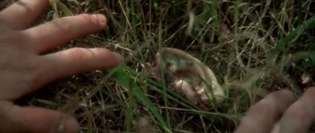 Da Velluto blu di David Lynch